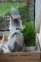 Tilf�ldigt billede